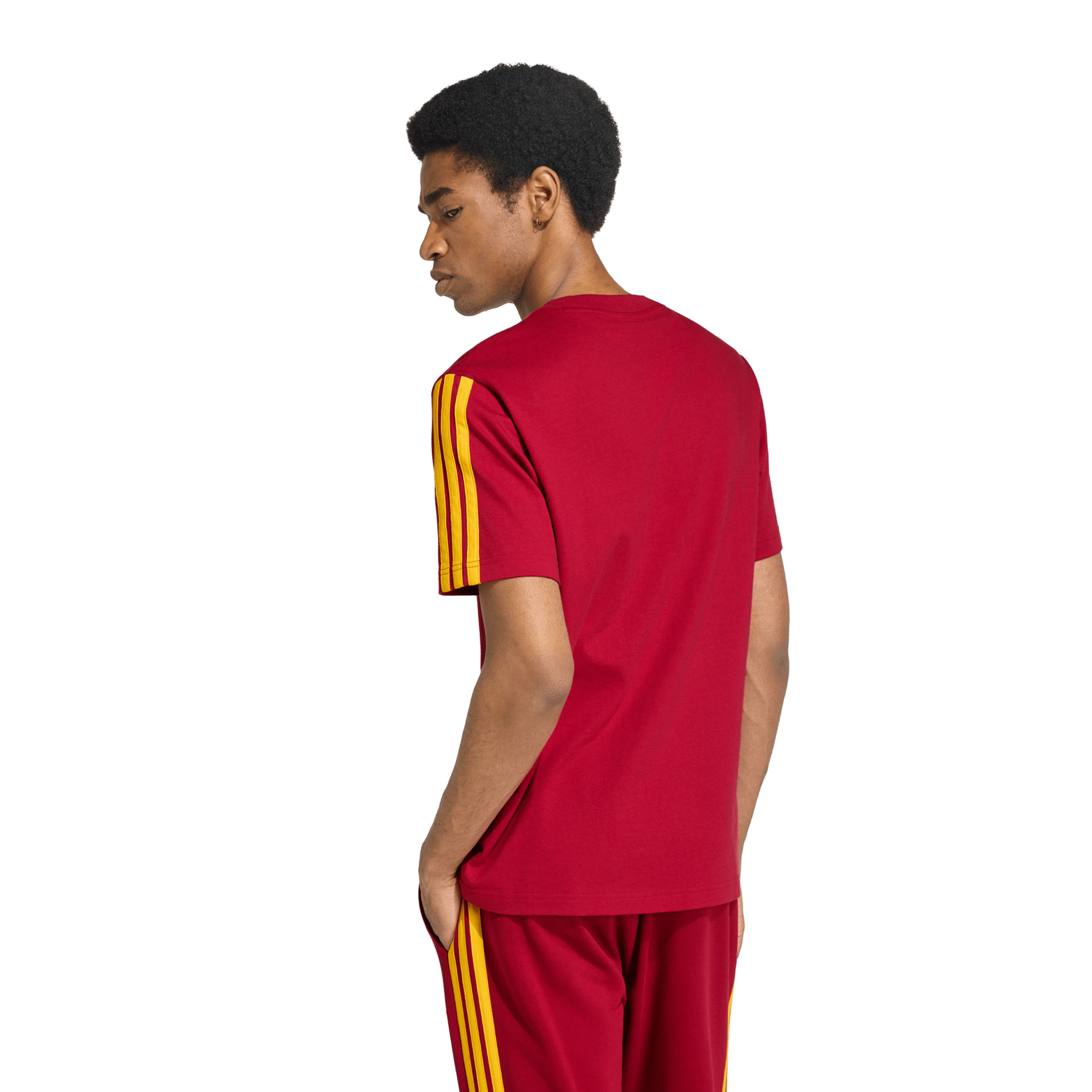 T-shirt DNA AS Roma back