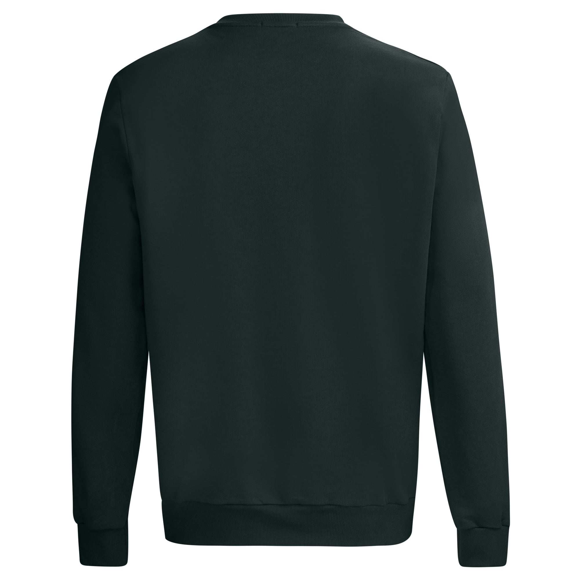 Crew Neck Sweatshirt with Wolf Neck Embroidery, Green